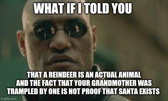 Matrix Morpheus Meme | WHAT IF I TOLD YOU; THAT A REINDEER IS AN ACTUAL ANIMAL AND THE FACT THAT YOUR GRANDMOTHER WAS TRAMPLED BY ONE IS NOT PROOF THAT SANTA EXISTS | image tagged in memes,matrix morpheus,AdviceAnimals | made w/ Imgflip meme maker