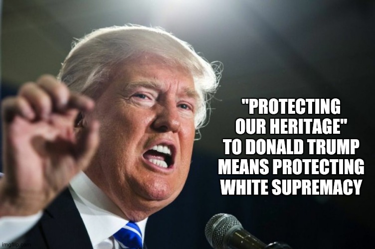 There Have Been More Protests Since The Electoral College Placed Trump In Office Than Any Other Time In American History | "PROTECTING OUR HERITAGE" TO DONALD TRUMP MEANS PROTECTING WHITE SUPREMACY | image tagged in donald trump,memes,trump unfit unqualified dangerous,liar in chief,lock him up,trump traitor | made w/ Imgflip meme maker