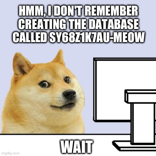 meow | HMM, I DON'T REMEMBER CREATING THE DATABASE CALLED SY68Z1K7AU-MEOW; WAIT | image tagged in doge,meow,database,attack | made w/ Imgflip meme maker