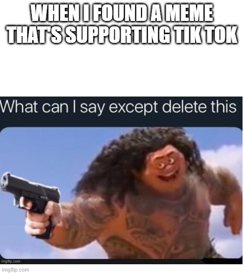 No... Just No... | WHEN I FOUND A MEME THAT'S SUPPORTING TIK TOK | image tagged in blank white template,memes,funny | made w/ Imgflip meme maker