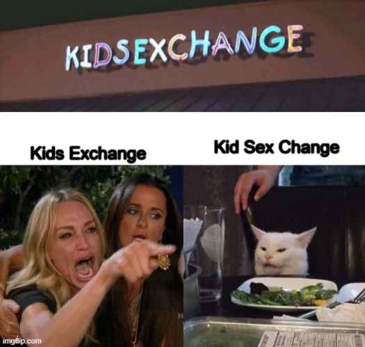 KIDSEXCHANGE?? | Kids Exchange; Kid Sex Change | image tagged in memes,woman yelling at cat | made w/ Imgflip meme maker