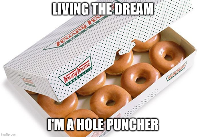 LIVING THE DREAM; I'M A HOLE PUNCHER | image tagged in doughnuts | made w/ Imgflip meme maker