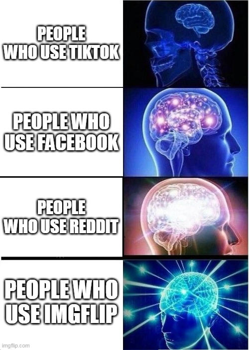 Expanding Brain Meme | PEOPLE WHO USE TIKTOK; PEOPLE WHO USE FACEBOOK; PEOPLE WHO USE REDDIT; PEOPLE WHO USE IMGFLIP | image tagged in memes,expanding brain | made w/ Imgflip meme maker
