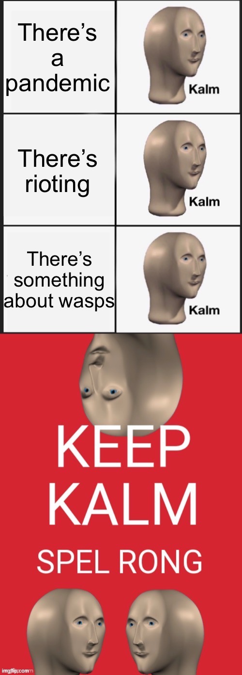 Meme Man 2020 (creds to whoever made bottom pic. as it’s not my own) | There’s a pandemic; There’s rioting; There’s something about wasps | image tagged in memes,kalm,meme man,2020,keep calm and carry on red,funny | made w/ Imgflip meme maker