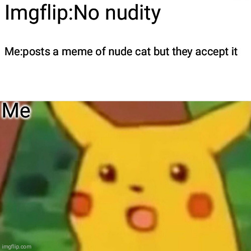 Surprised Pikachu | Imgflip:No nudity; Me:posts a meme of nude cat but they accept it; Me | image tagged in memes,surprised pikachu | made w/ Imgflip meme maker