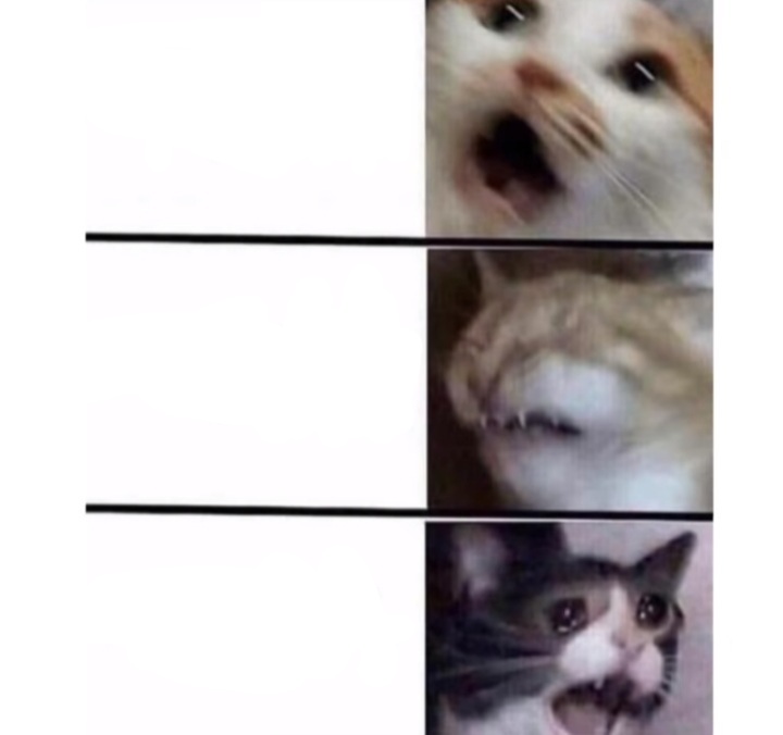 Screaming Cats Blank Meme Template