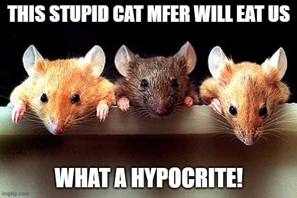 3 mice | THIS STUPID CAT MFER WILL EAT US WHAT A HYPOCRITE! | image tagged in 3 mice | made w/ Imgflip meme maker