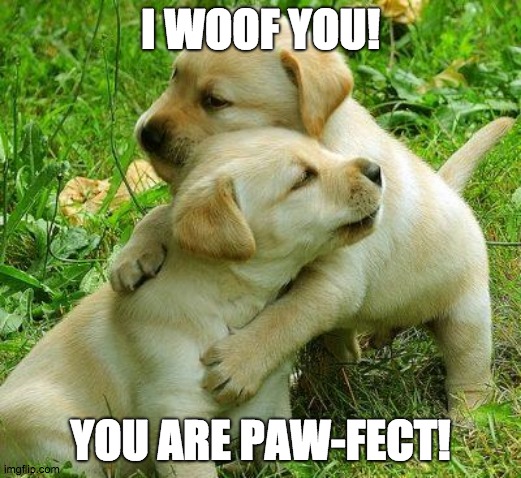 Puppy Love |  I WOOF YOU! YOU ARE PAW-FECT! | image tagged in puppy i love bro | made w/ Imgflip meme maker