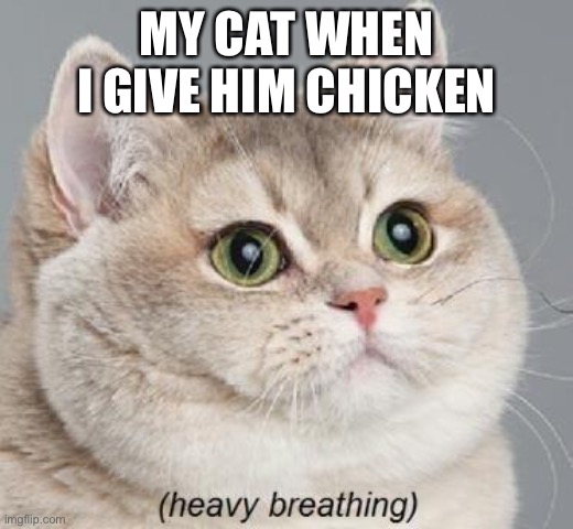 Heavy Breathing Cat | MY CAT WHEN I GIVE HIM CHICKEN | image tagged in memes,heavy breathing cat | made w/ Imgflip meme maker