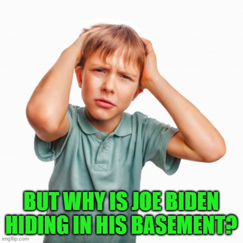 BUT WHY IS JOE BIDEN HIDING IN HIS BASEMENT? | made w/ Imgflip meme maker