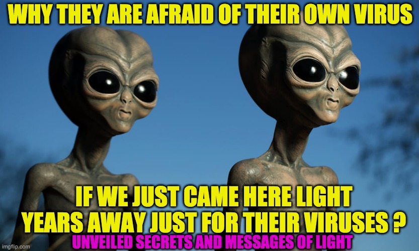 WHY THEY ARE AFRAID OF THEIR OWN VIRUS; IF WE JUST CAME HERE LIGHT YEARS AWAY JUST FOR THEIR VIRUSES ? UNVEILED SECRETS AND MESSAGES OF LIGHT | image tagged in ancient aliens | made w/ Imgflip meme maker