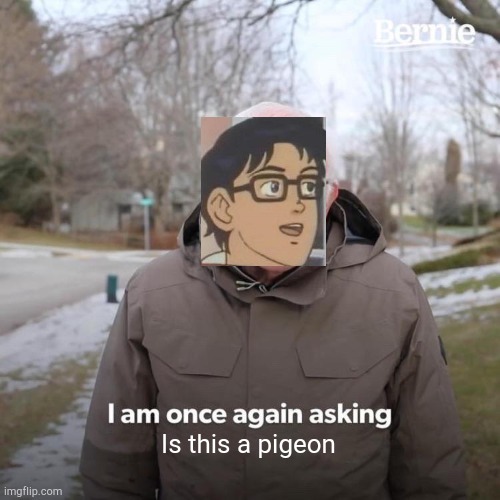 Is this bernie | Is this a pigeon | image tagged in memes,bernie i am once again asking for your support,is this a pigeon | made w/ Imgflip meme maker