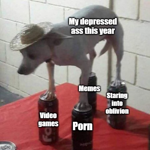 Dog Balancing on Cans | My depressed ass this year; Memes; Staring into oblivion; Porn; Video games | image tagged in dog balancing on cans | made w/ Imgflip meme maker