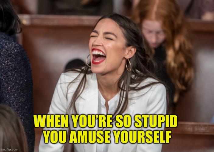 Oh Bray Can You See? | WHEN YOU’RE SO STUPID 
YOU AMUSE YOURSELF | image tagged in aoc,alexandria ocasio-cortez | made w/ Imgflip meme maker