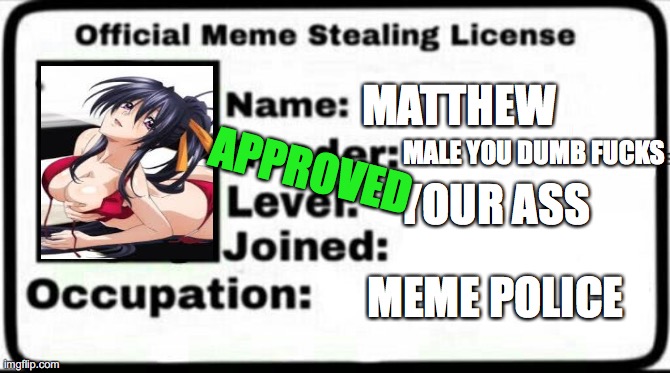 Meme Stealing License | APPROVED; MALE YOU DUMB FUCKS; MATTHEW; YOUR ASS; MEME POLICE | image tagged in meme stealing license | made w/ Imgflip meme maker