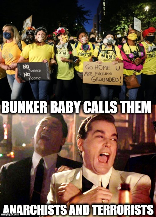 When did self proclaimed conservatives become such anti constitution snowflakes? | BUNKER BABY CALLS THEM; ANARCHISTS AND TERRORISTS | image tagged in memes,good fellas hilarious,donald trump is an idiot,maga,snowflakes,blm | made w/ Imgflip meme maker