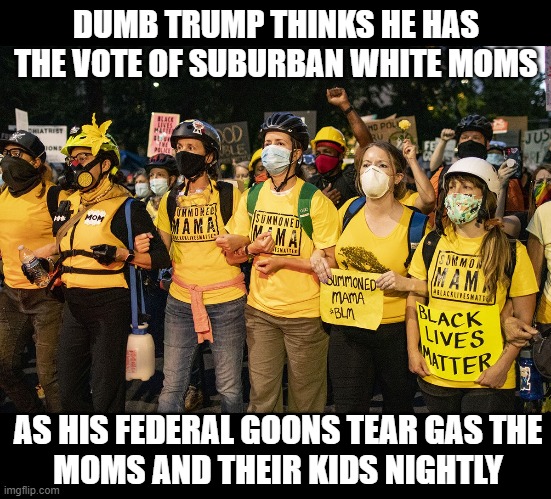 Mothers in Portland and beyond lead protests | DUMB TRUMP THINKS HE HAS THE VOTE OF SUBURBAN WHITE MOMS; AS HIS FEDERAL GOONS TEAR GAS THE
MOMS AND THEIR KIDS NIGHTLY | image tagged in donald trump is an idiot,protesters,blm,election 2020,white woman,federal goons | made w/ Imgflip meme maker