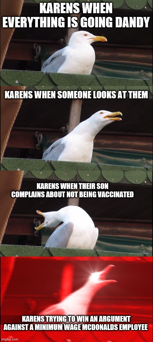 Inhaling Seagull | KARENS WHEN EVERYTHING IS GOING DANDY; KARENS WHEN SOMEONE LOOKS AT THEM; KARENS WHEN THEIR SON COMPLAINS ABOUT NOT BEING VACCINATED; KARENS TRYING TO WIN AN ARGUMENT AGAINST A MINIMUM WAGE MCDONALDS EMPLOYEE | image tagged in memes,inhaling seagull | made w/ Imgflip meme maker