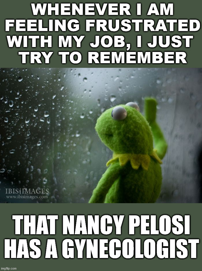 There are jobs that even I would not do. | WHENEVER I AM FEELING FRUSTRATED WITH MY JOB, I JUST 
TRY TO REMEMBER; THAT NANCY PELOSI HAS A GYNECOLOGIST | image tagged in kermit window,gynecologist,nancy pelosi,politics | made w/ Imgflip meme maker