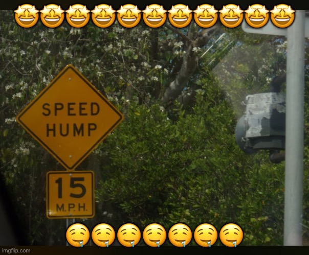 SPEED HUMPING! | 🤩🤩🤩🤩🤩🤩🤩🤩🤩🤩🤩; 🤤🤤🤤🤤🤤🤤🤤 | image tagged in speed humping | made w/ Imgflip meme maker