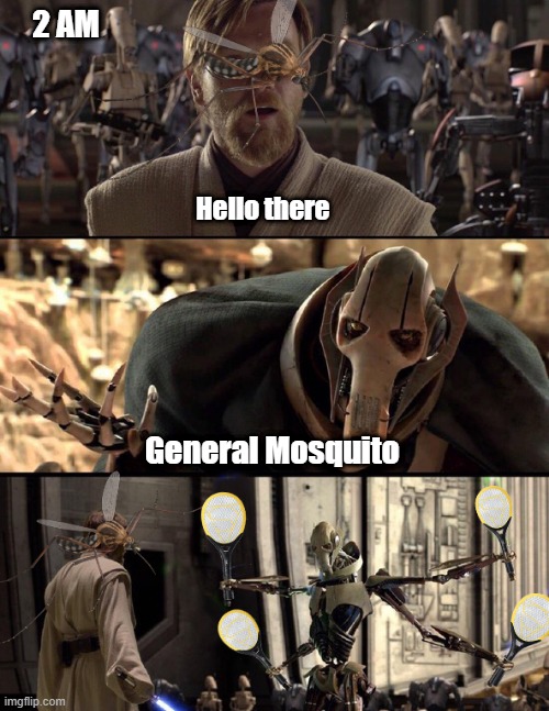 Mosquito | 2 AM; Hello there; General Mosquito | image tagged in mosquitoes | made w/ Imgflip meme maker