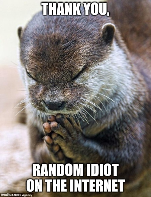 Thank you Lord Otter | THANK YOU, RANDOM IDIOT ON THE INTERNET | image tagged in thank you lord otter | made w/ Imgflip meme maker
