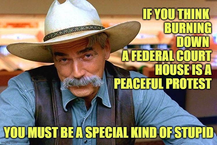 Antifa and BLM are terrorists. Period. | IF YOU THINK 
BURNING DOWN 
A FEDERAL COURT HOUSE IS A PEACEFUL PROTEST; YOU MUST BE A SPECIAL KIND OF STUPID | image tagged in sam elliott,blm,antifa | made w/ Imgflip meme maker
