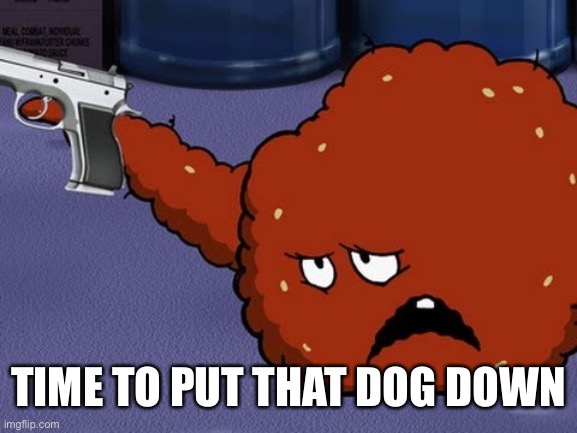 Meatwad with a gun | TIME TO PUT THAT DOG DOWN | image tagged in meatwad with a gun | made w/ Imgflip meme maker