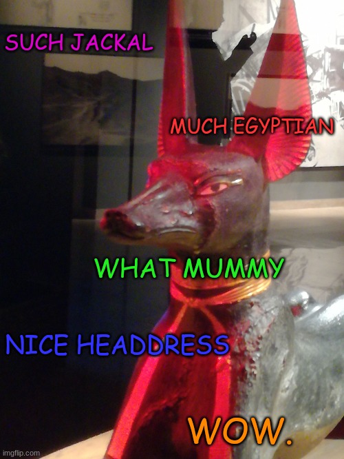 Doge Anubis |  SUCH JACKAL; MUCH EGYPTIAN; WHAT MUMMY; NICE HEADDRESS; WOW. | image tagged in disgusted anubi | made w/ Imgflip meme maker
