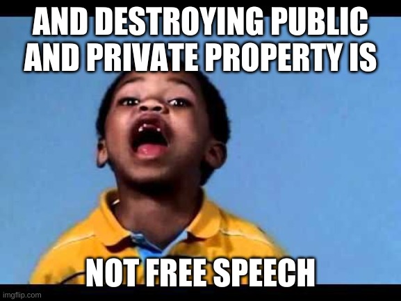 That's racist 2 | AND DESTROYING PUBLIC AND PRIVATE PROPERTY IS NOT FREE SPEECH | image tagged in that's racist 2 | made w/ Imgflip meme maker