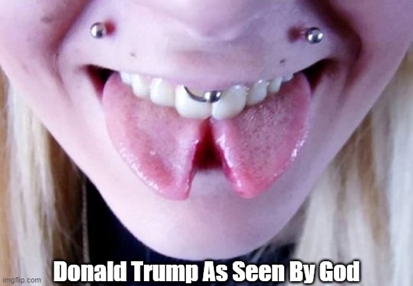 Donald Trump As Seen By God | made w/ Imgflip meme maker