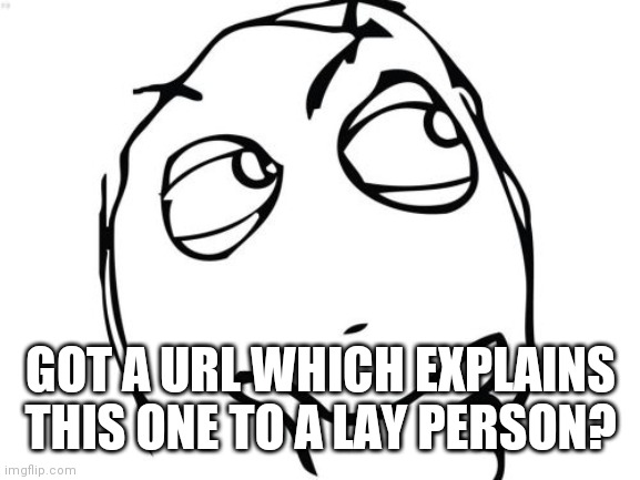 Question Rage Face Meme | GOT A URL WHICH EXPLAINS THIS ONE TO A LAY PERSON? | image tagged in memes,question rage face | made w/ Imgflip meme maker