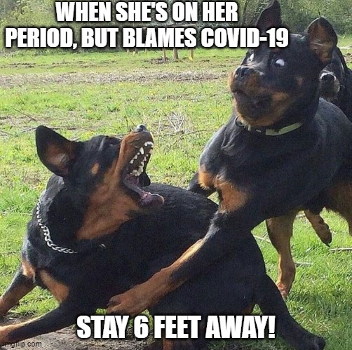 Covid-19 Rules | WHEN SHE'S ON HER PERIOD, BUT BLAMES COVID-19; STAY 6 FEET AWAY! | image tagged in covid-19,girlfriend,period | made w/ Imgflip meme maker