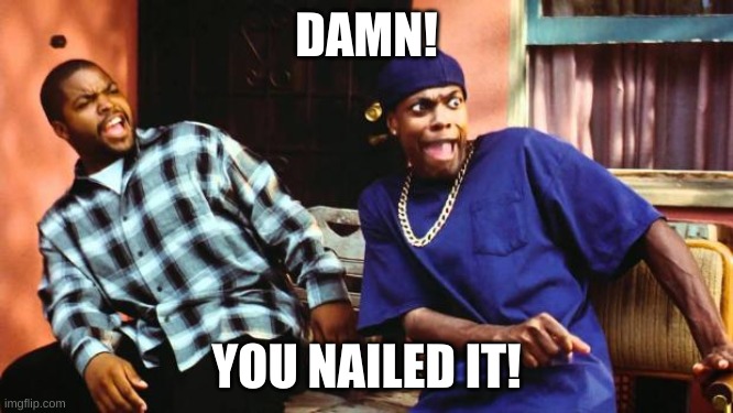 Ice Cube Damn | DAMN! YOU NAILED IT! | image tagged in ice cube damn | made w/ Imgflip meme maker