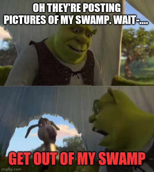 Could you not ___ for 5 MINUTES | OH THEY'RE POSTING PICTURES OF MY SWAMP. WAIT-.... GET OUT OF MY SWAMP | image tagged in could you not ___ for 5 minutes | made w/ Imgflip meme maker