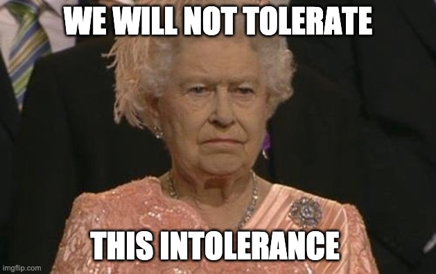 Intolerance will not be tolerated | WE WILL NOT TOLERATE; THIS INTOLERANCE | image tagged in queen elizabeth london olympics not amused | made w/ Imgflip meme maker