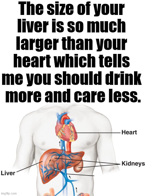 The benefit is after drinking, you will care less. | The size of your 
liver is so much 
larger than your 
heart which tells 
me you should drink 
more and care less. | image tagged in heart,liver,drinking,i don't care | made w/ Imgflip meme maker