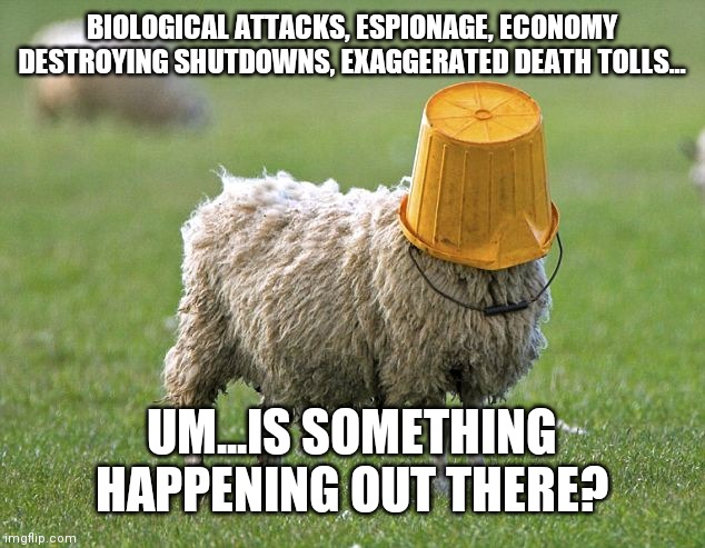 stupid sheep | BIOLOGICAL ATTACKS, ESPIONAGE, ECONOMY DESTROYING SHUTDOWNS, EXAGGERATED DEATH TOLLS... UM...IS SOMETHING HAPPENING OUT THERE? | image tagged in stupid sheep | made w/ Imgflip meme maker