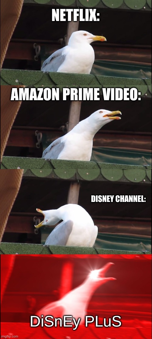 Inhaling Seagull chart | NETFLIX:; AMAZON PRIME VIDEO:; DISNEY CHANNEL:; DiSnEy PLuS | image tagged in memes,inhaling seagull,funny | made w/ Imgflip meme maker