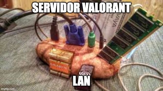 Valorant Servers | SERVIDOR VALORANT; LAN | image tagged in potato server | made w/ Imgflip meme maker