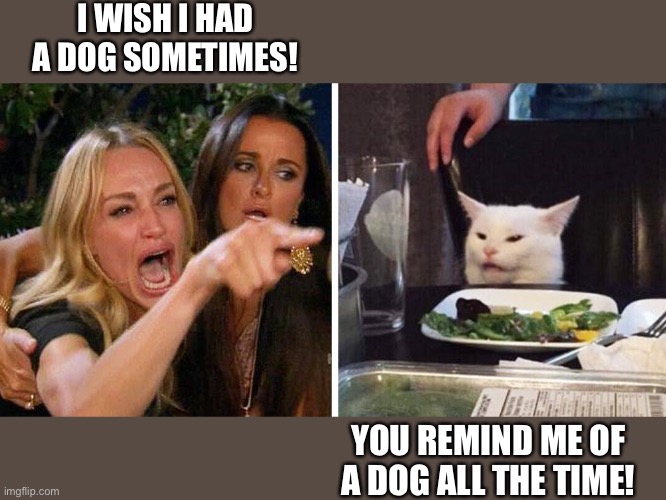 Smudge the cat | I WISH I HAD A DOG SOMETIMES! YOU REMIND ME OF A DOG ALL THE TIME! | image tagged in smudge the cat | made w/ Imgflip meme maker