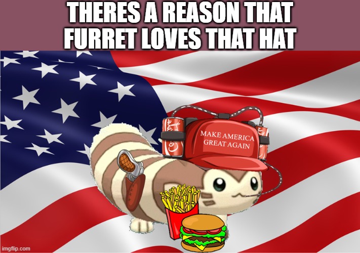 American Furret | THERES A REASON THAT FURRET LOVES THAT HAT | image tagged in american furret | made w/ Imgflip meme maker