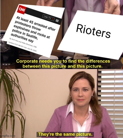They're The Same Picture Meme | Rioters | image tagged in memes,they're the same picture | made w/ Imgflip meme maker