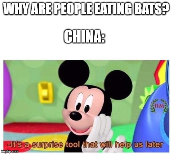 hehe | WHY ARE PEOPLE EATING BATS? CHINA: | image tagged in it's a surprise tool that will help us later | made w/ Imgflip meme maker