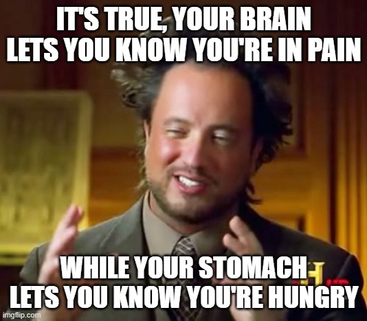 Ancient Aliens Meme | IT'S TRUE, YOUR BRAIN LETS YOU KNOW YOU'RE IN PAIN WHILE YOUR STOMACH LETS YOU KNOW YOU'RE HUNGRY | image tagged in memes,ancient aliens | made w/ Imgflip meme maker