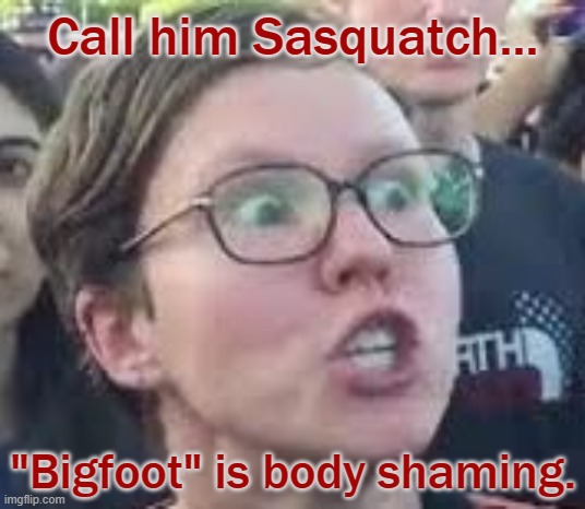 SJW | Call him Sasquatch... "Bigfoot" is body shaming. | image tagged in sjw | made w/ Imgflip meme maker