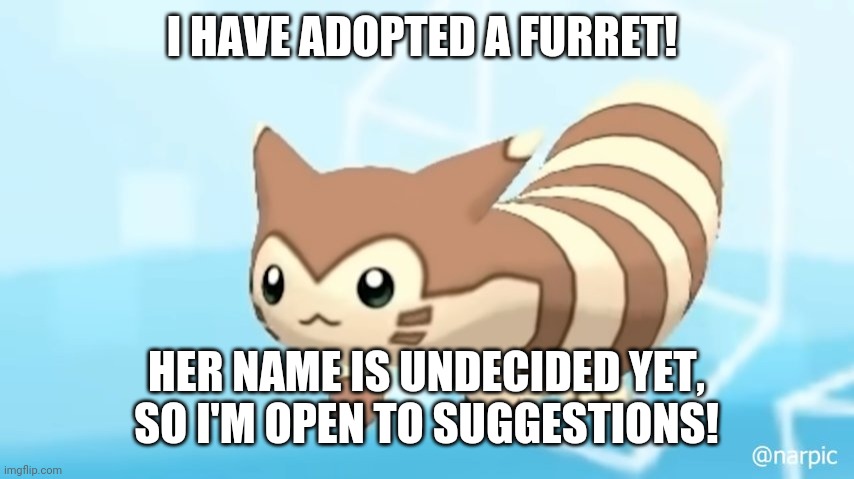 Furret Walcc | I HAVE ADOPTED A FURRET! HER NAME IS UNDECIDED YET, SO I'M OPEN TO SUGGESTIONS! | image tagged in furret walcc | made w/ Imgflip meme maker