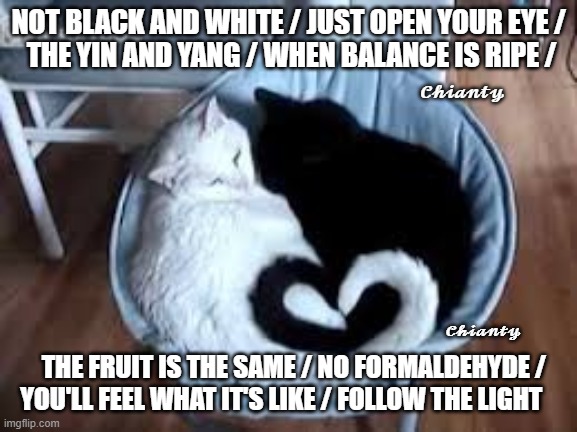 Not Black n White | NOT BLACK AND WHITE / JUST OPEN YOUR EYE /
 THE YIN AND YANG / WHEN BALANCE IS RIPE /; 𝓒𝓱𝓲𝓪𝓷𝓽𝔂; 𝓒𝓱𝓲𝓪𝓷𝓽𝔂; THE FRUIT IS THE SAME / NO FORMALDEHYDE /
 YOU'LL FEEL WHAT IT'S LIKE / FOLLOW THE LIGHT | image tagged in guess | made w/ Imgflip meme maker