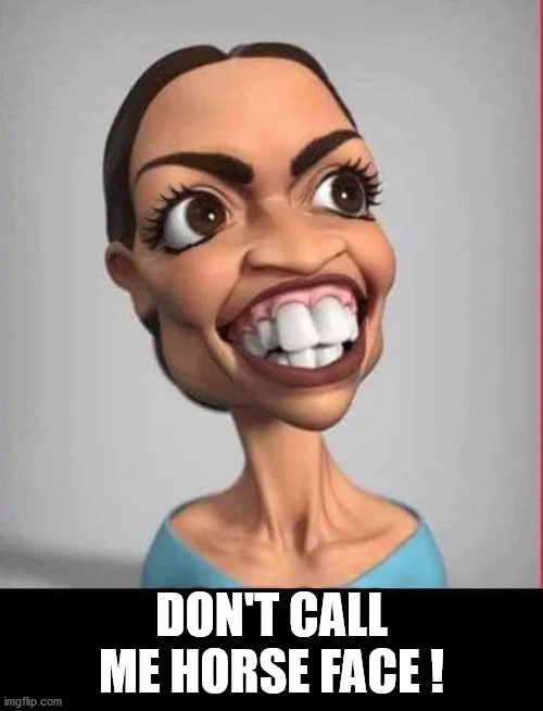 DON'T CALL ME HORSE FACE ! | image tagged in aoc stumped | made w/ Imgflip meme maker