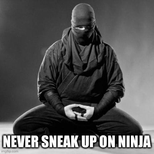 Ninja Zen | NEVER SNEAK UP ON NINJA | image tagged in ninja zen | made w/ Imgflip meme maker
